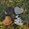 cowhide keychains