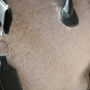 Cowhide Fine Tote Bag – Stylish Large Handbag for Women