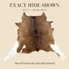 Calf hide rug brown white legs - branded