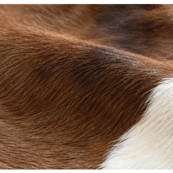 Calf hide rug rich brown - closeup texture