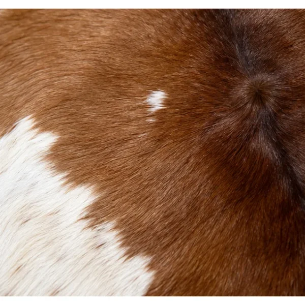 Calf hide rug chestnut brown and white - closeup texture
