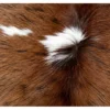 Calf hide rug brown and white - closeup texture