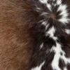 Calf hide rug brown spine stripe - closeup texture