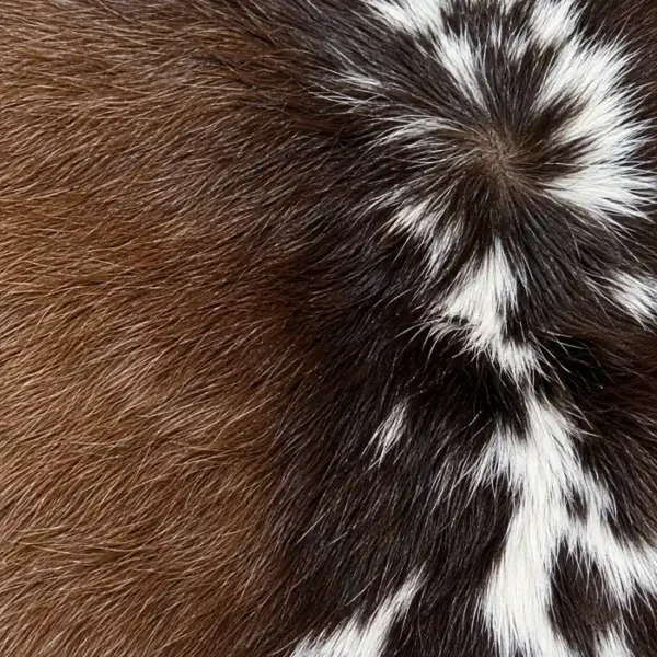 Calf hide rug brown spine stripe - closeup texture