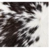 Calf hide rug white and dark brown speckled - closeup texture