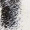 Calf hide rug black white spotted - closeup texture