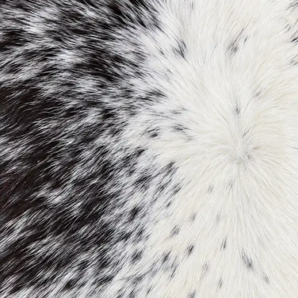 Calf hide rug black white spotted tan edges - closeup texture