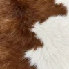 Calf hide rug brown white - closeup texture