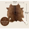 Calf hide rug rich brown - dimensions