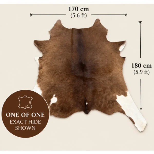 Calf hide rug rich brown - dimensions