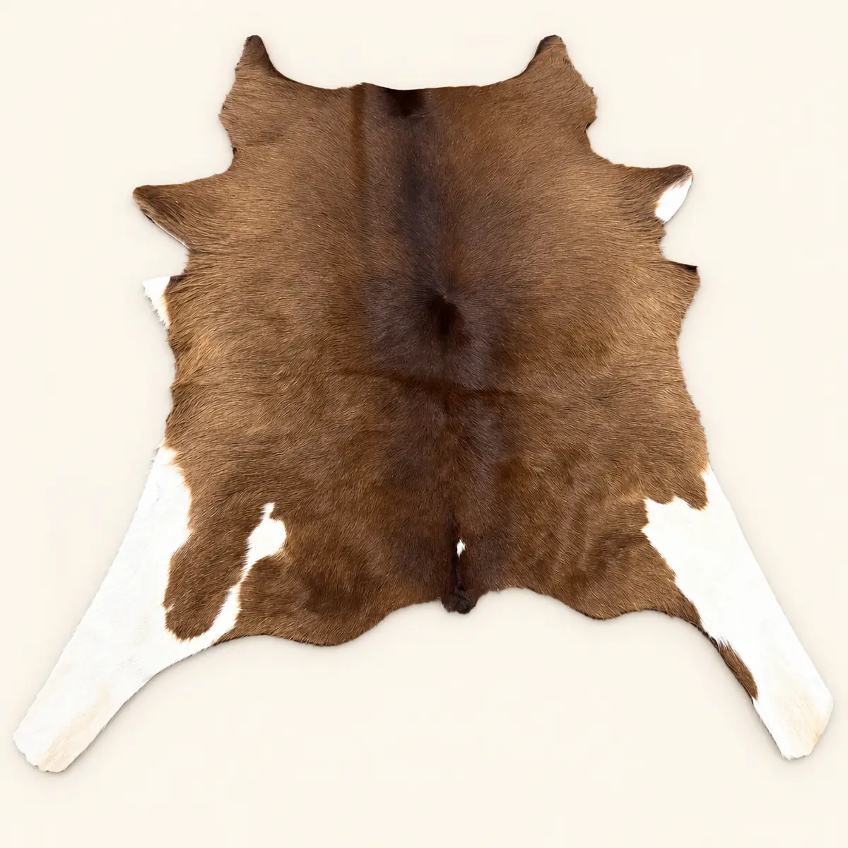 calf-hide-rug-rich-brown-white-markings-genuine-cowhide