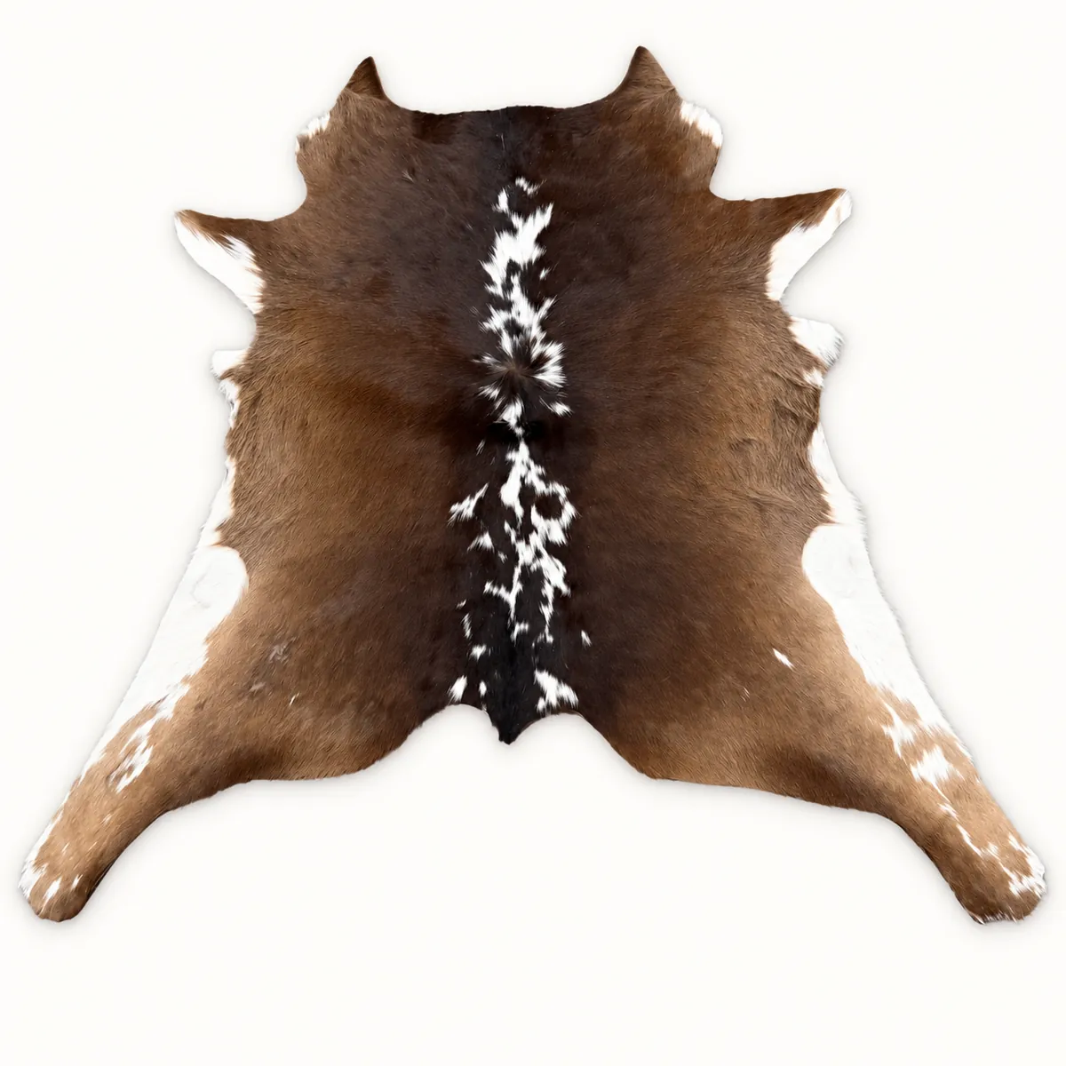 Calf hide rug brown spine stripe - main studio