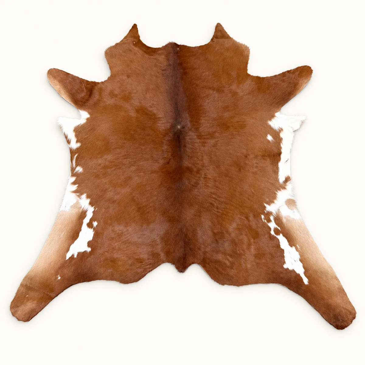 Calf hide rug brown - main studio