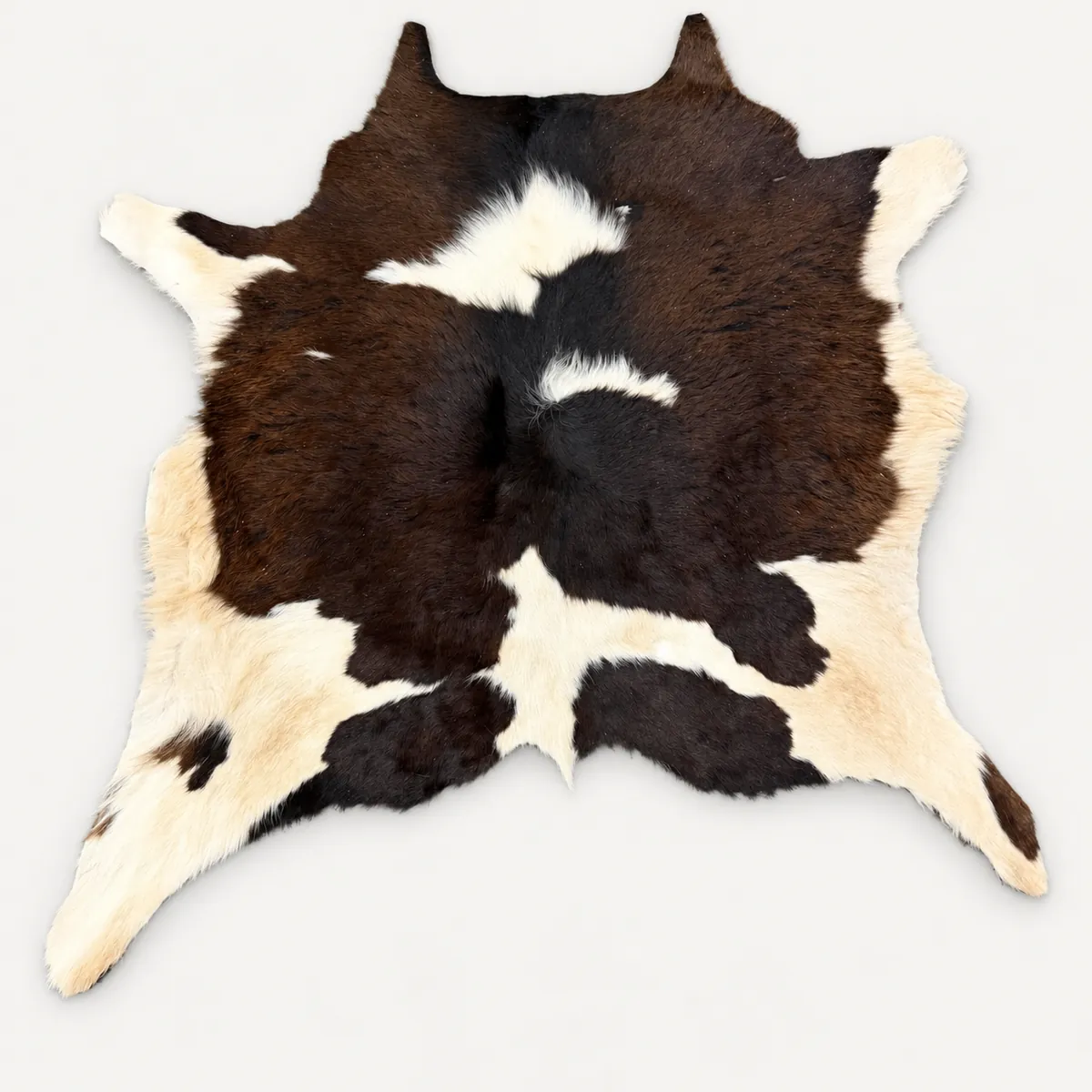 Calf hide rug dark brown white - main studio